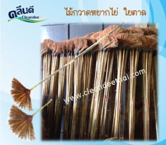 ไม้กวาดหยากไย่ใยตาล
