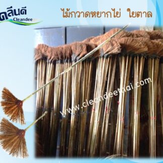 ไม้กวาดหยากไย่ใยตาล