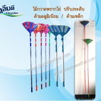 ไม้กวาดหยากไย่