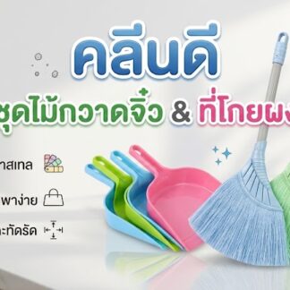 ชุดที่โกยผงเล็ก